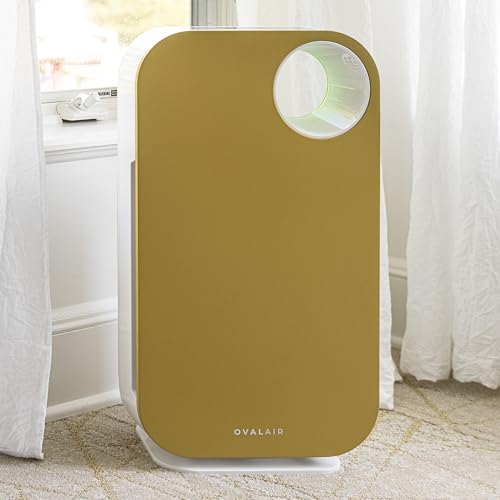 Air Purifier for Smoke: OVAL AIR1000H 5-in-1 HEPA Device - Image 2