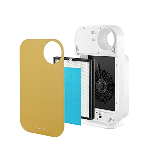 Air Purifier for Smoke: OVAL AIR1000H 5-in-1 HEPA Device - Image 3