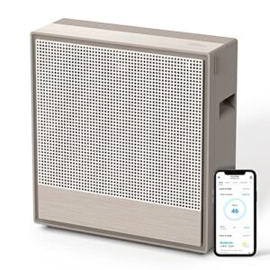 Air Purifier for Allergies: Coway 250S for Large Rooms Air Purifier for Allergies: Coway 250S for Large Rooms