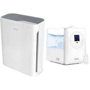 Air Purifier for Bedroom: LEVOIT HEPA Filter & Humidifier