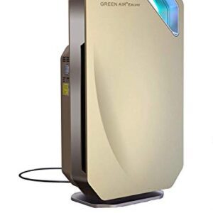 Air Purifier for Cat Allergies: Green Air Encore HEPA Filter