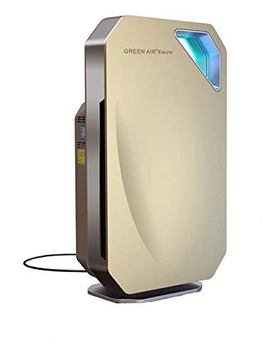 Air Purifier for Cat Allergies: Green Air Encore HEPA Filter