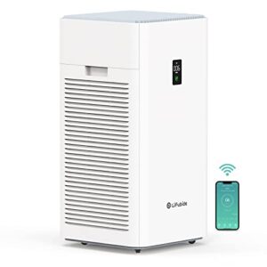 Air Purifier for Dust: Lifubide HEPA, Low Noise, Large Room