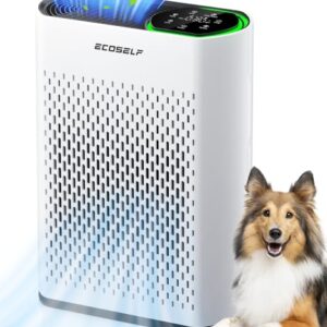 Air Purifier for Dust: Quiet 1400 Ft² Coverage & Monitor