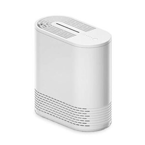 Air Purifier for Dust: YHYDLC Mini Smoker Desktop Device