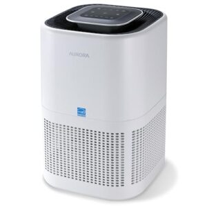 Air Purifier for Hayfever: Aurora AR100W for Allergens Air Purifier for Hayfever: Aurora AR100W for Allergens
