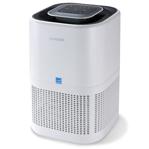Air Purifier for Hayfever: Aurora AR100W for Allergens