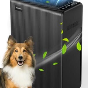Air Purifier for Hayfever: H13 HEPA for Large Rooms