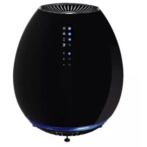 Air Purifier for Hayfever: Holmes® HEPA Small Room Model