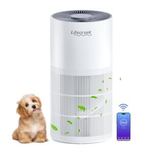 Air Purifier for Hayfever: Lifecreek HEPA for Large Rooms