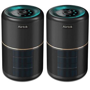 Air Purifier for Hayfever Relief – AIRTOK 2 Pack 376 sqft