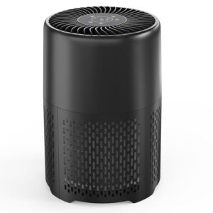 Air Purifier for Hayfever Relief in Large Rooms & Bedrooms