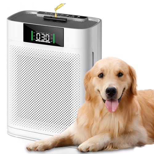 Air Purifier for Hayfever Relief in Large Rooms up to 1500 Sq Ft