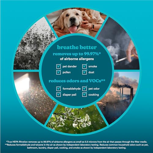 Air Purifier for Hayfever: True HEPA & Carbon Filter, 975 Sq Ft - Image 2