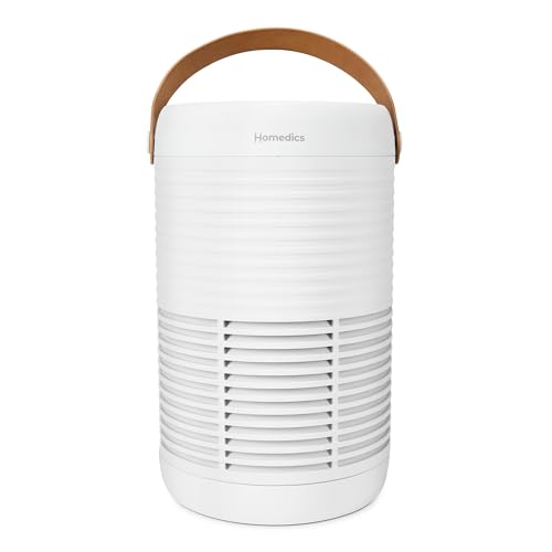 Air Purifier for Hayfever: True HEPA & Carbon Filter, 975 Sq Ft