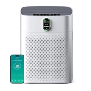 Air Purifier for Hayfever – Wi-Fi, HEPA, Large Rooms
