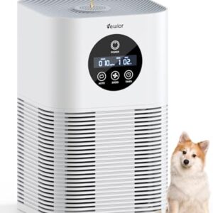 Air Purifier for Hayfever in Large Rooms up to 600 Ft²