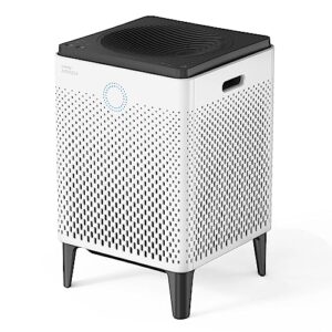 Air Purifier for Home: Coway Airmega 300, 1,256 sq. ft. Coverage