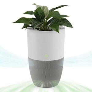 Air Purifier for Home | Dupray Bloom™ with Planter Design
