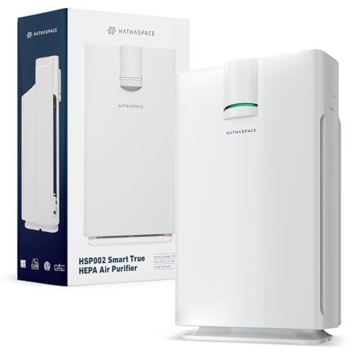 Air Purifier for Large Room: HATHASPACE HSP002 HEPA Cleaner