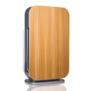 Air Purifier for Mold – Alen BreatheSmart Flex HEPA 1400 Sq. Ft.