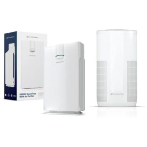 Air Purifier for Mold: HATHASPACE 1500 sqft Harmony Model