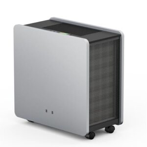 Air Purifier for Mold: HEPA Filter – 4125 Sq Ft Coverage