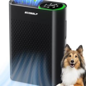 Air Purifier for Mold: Quiet 1400 Ft² Coverage & Monitor