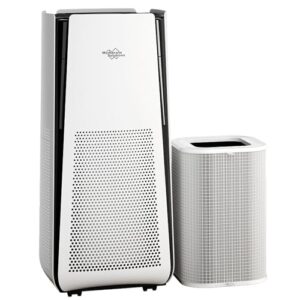Air Purifier for Mold Removal in Large Rooms, Smart WiFi