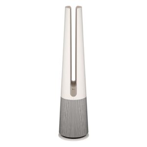 Air Purifier for Room: LG PuriCare AeroTower with Heating