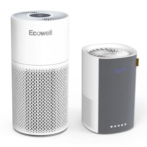 Air Purifier for Smoke & Allergies: ECOWELL H13 HEPA Bundle