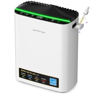 Air Purifier for Smoke: HEPA Filter for Large Rooms