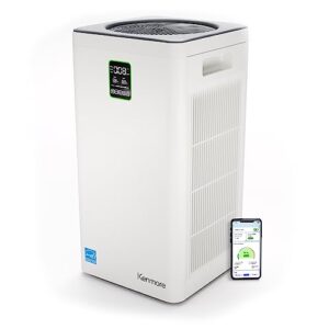 Air Purifier for Smoke: Kenmore PM4030 H13 HEPA Filter
