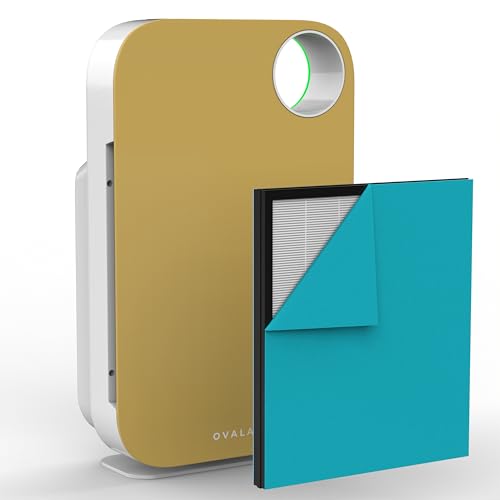 Air Purifier for Smoke: OVAL AIR1000H 5-in-1 HEPA Device