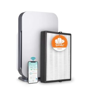 Alen BreatheSmart 45i: Top Air Purifier for Mold & Allergens