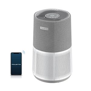 Best Air Purifier for Home: Rowenta Pure Air City 876 Sq Ft
