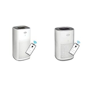 Best Air Purifier for Pets: Clorox Smart HEPA Filter