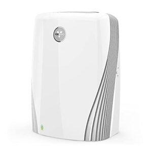 Best Air Purifier for Pets: Vornado PCO375DC Review