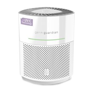 Effective Air Purifier for Hayfever Relief in Large Rooms