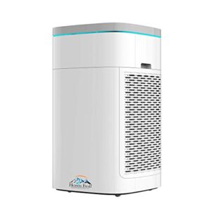 “HEPA Air Purifier with Smart WiFi & Air Quality Sensor”