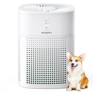 Morento Air Purifier for Hayfever Relief, HEPA Filter, Small