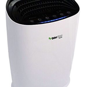 “OdorStop OSAP3600 Air Purifier: H13 HEPA, Carbon, Sleep Mode”
