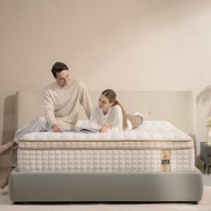 12″ Queen Hybrid Mattress in a Box – Memory Foam & Springs